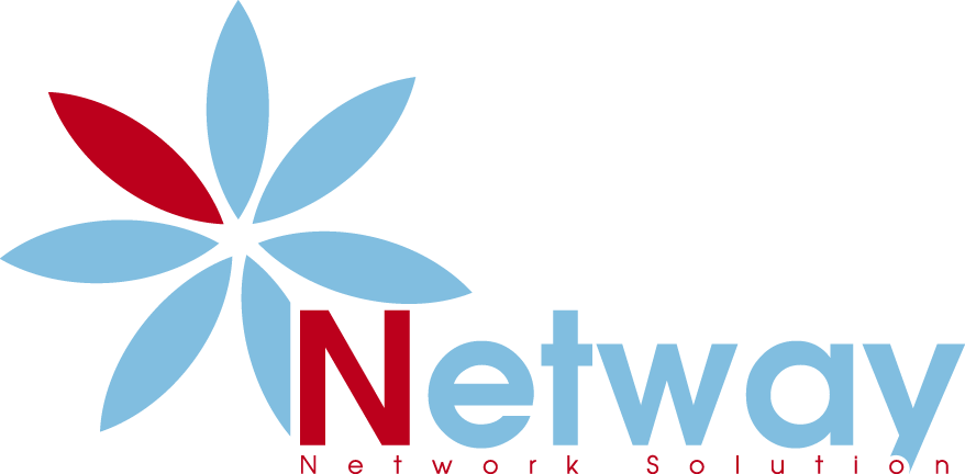 Netway company logo with networking nodes symbol in blue