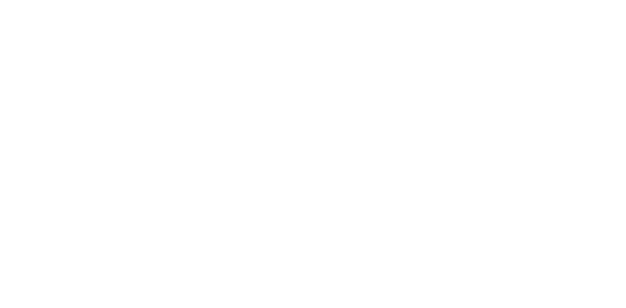 Netway company logo in white